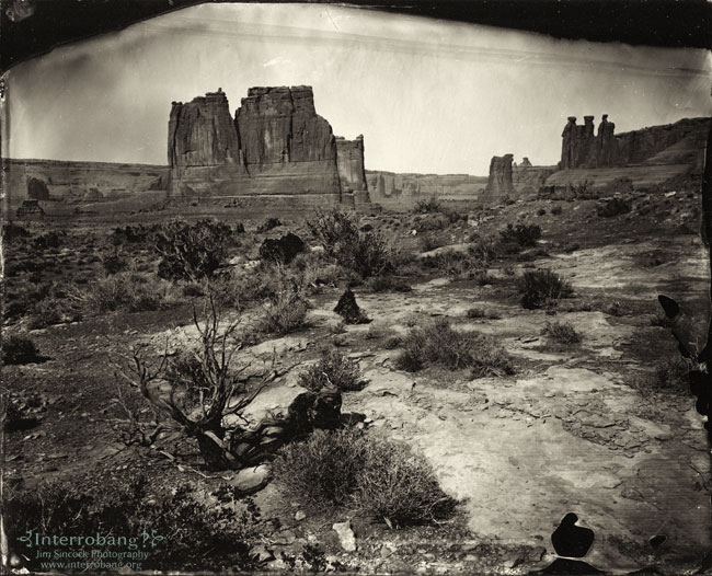 The Survival of the Fittest', 1880 - Stock Image - C045/1110 - Science  Photo Library