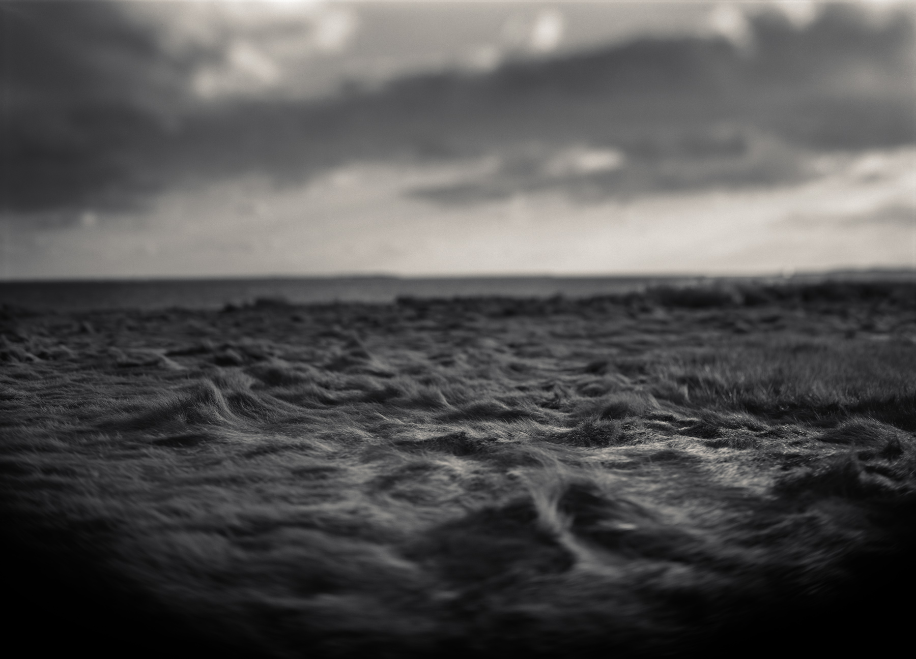 Where There Is No Boat, I Will Put a Boat , Platinum/Palladium, Ron Cowie