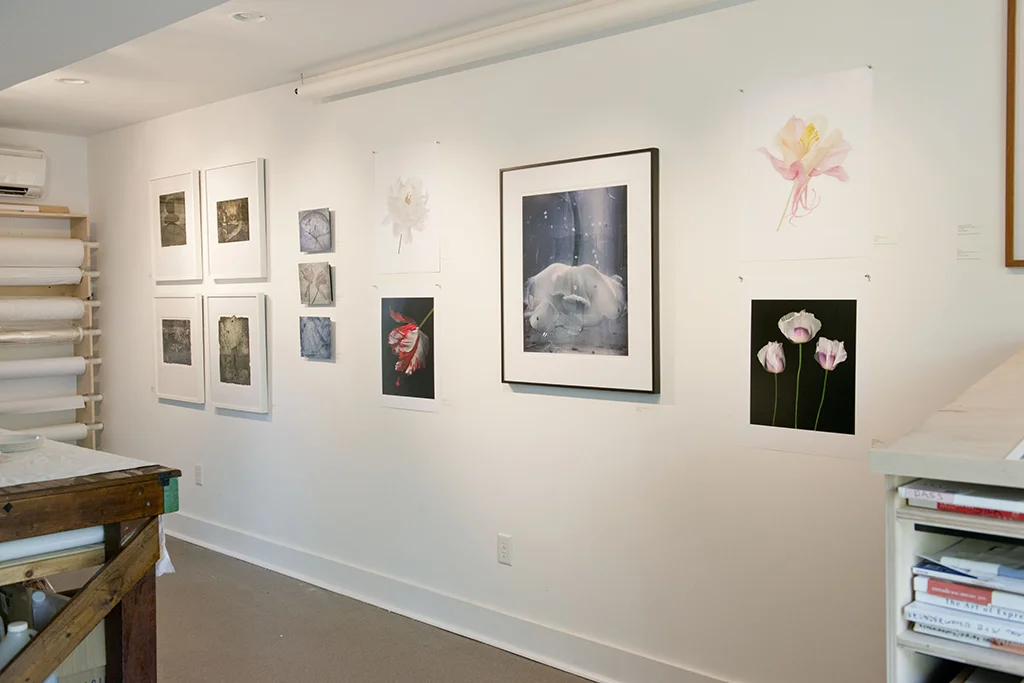 John Grant's Studio