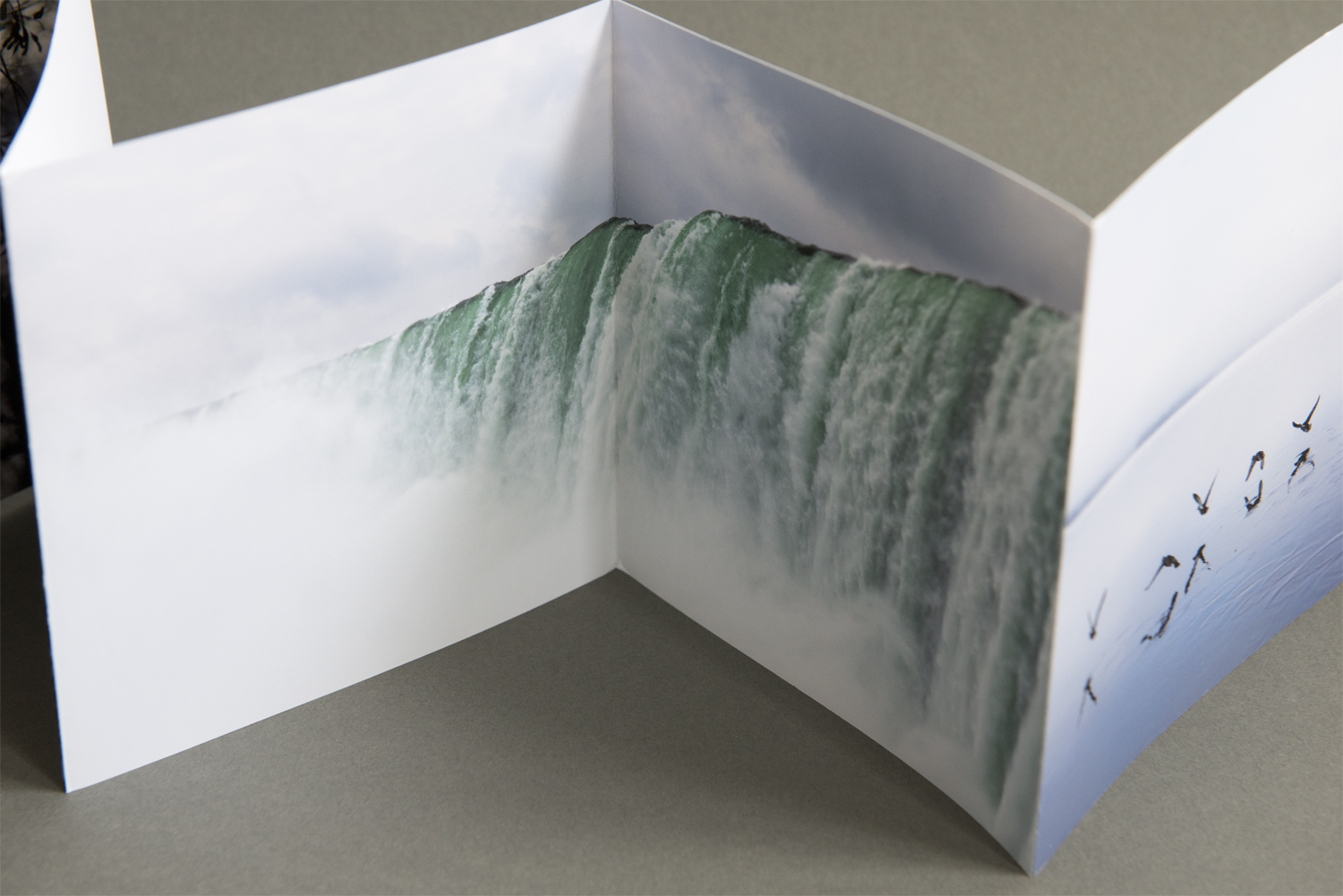 The small square book is an edition of 50 and features photographs from an ongoing project. The uncoated paper has a rich texture that blends well with the subject matter. The contact information is easy to find, and the small size (for a book) makes this promo material easy to carry around during review events.