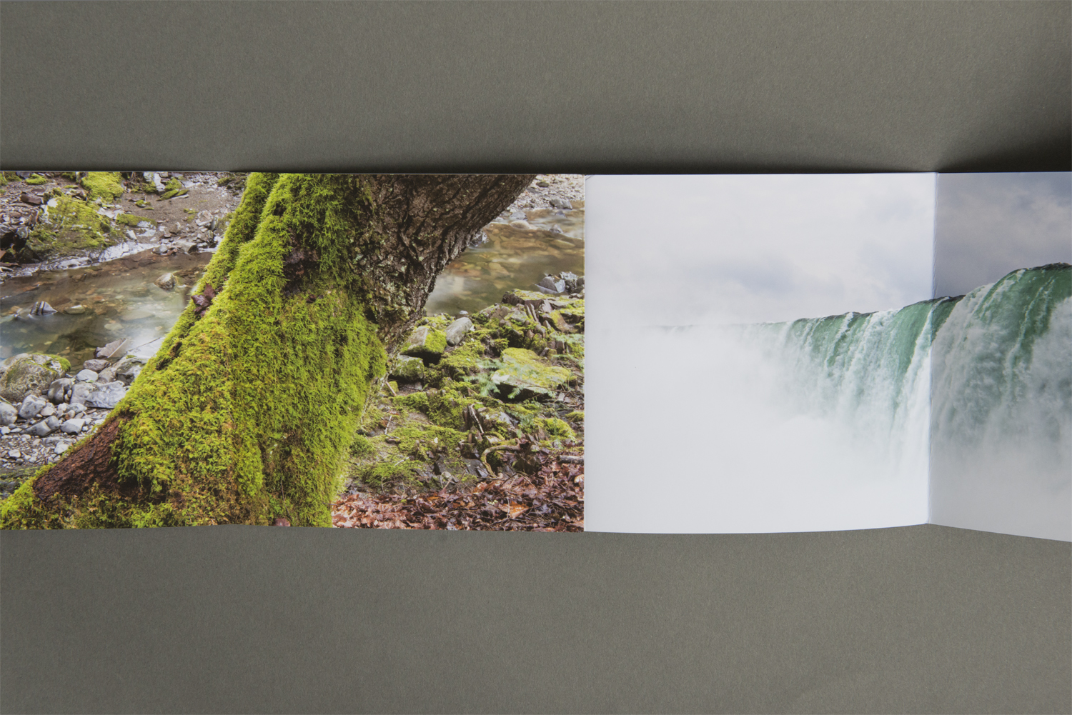 The accordion binding is especially clever, allowing for different sequences of the photographs depending on how it is folded. This interactive element is subtle and well executed. We will be holding onto this promo for quite some time.