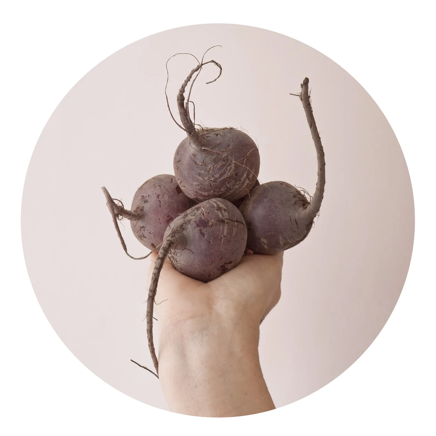 Red Beets , Lindsay Lochman & Barbara Ciurej