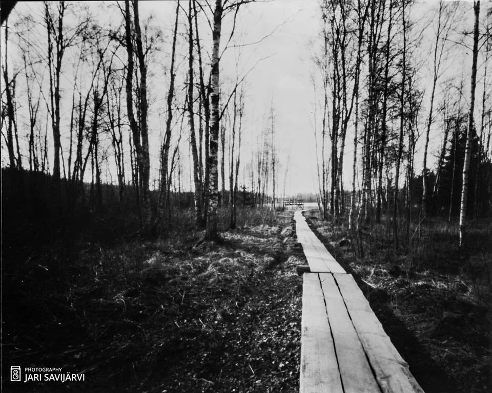 Wooden Path , made with 4x5 pinhole camera and lith film.