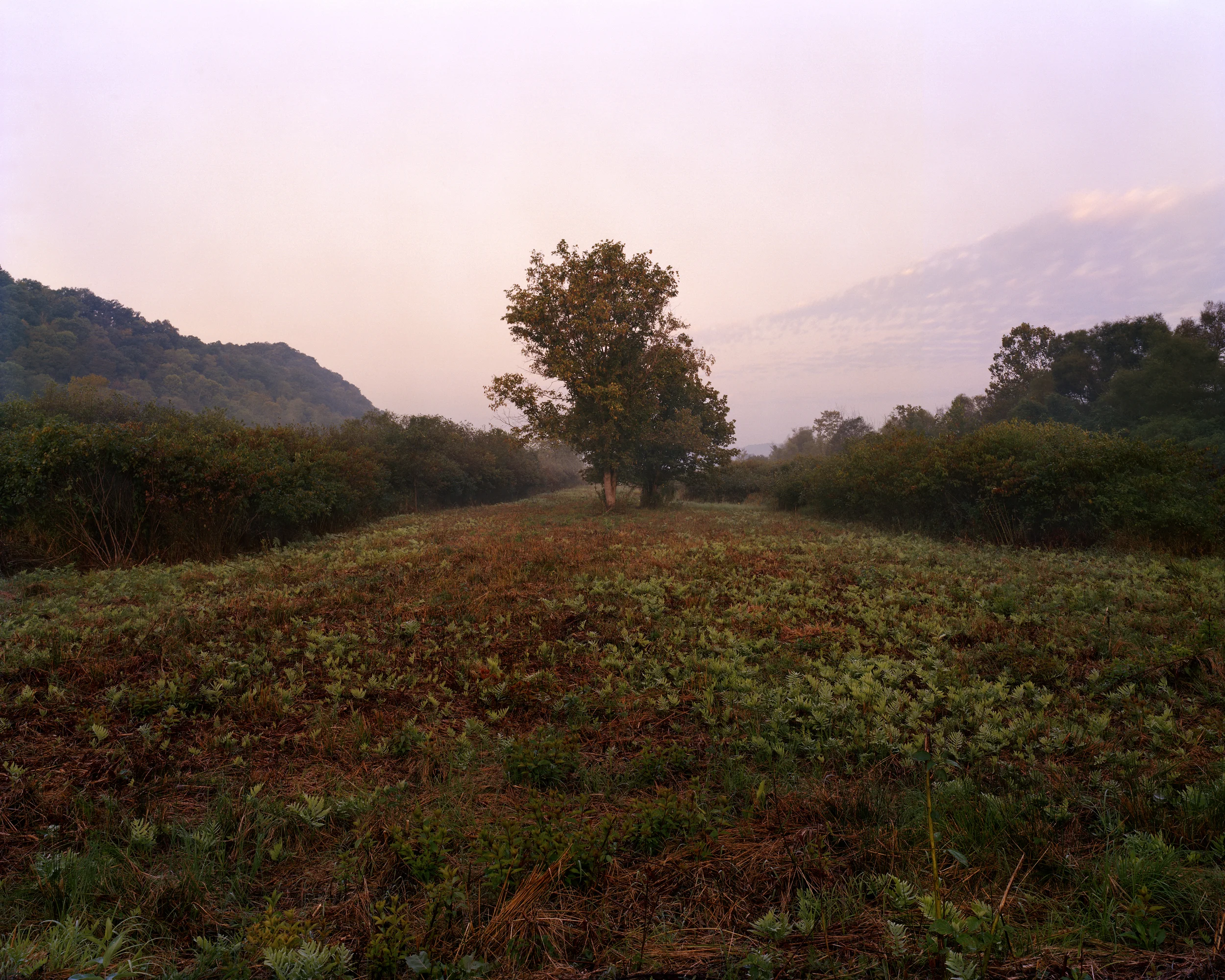 Cleared Meadow, Greenbottom Wildlife Management Area, WV, 2011 6 x 9, signed and numbered edition of 5 Archival inkjet print $95