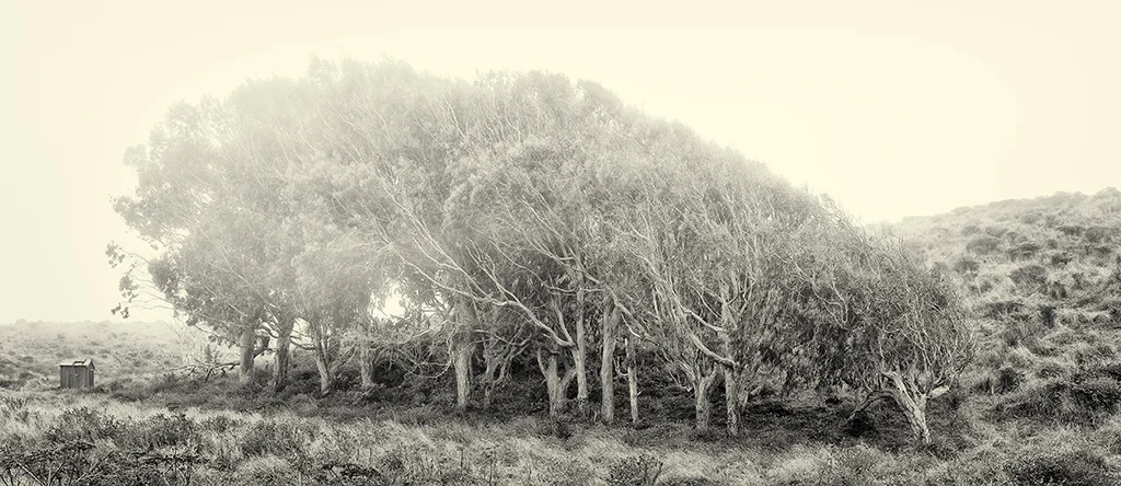 The Myth of Sisyphus (Because This is Where You Are ) © Geoffrey Agrons