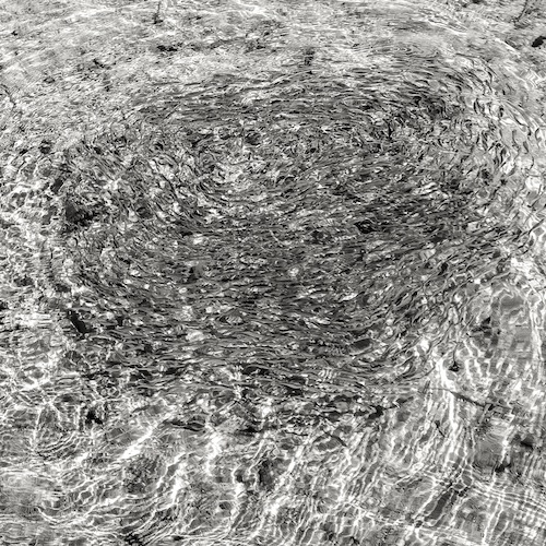 Swirl ©Nicholas Whitman/courtesy of Umbrella Arts