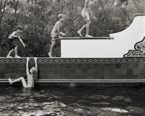 Evolution ©Suzanne Révy/courtesy of Umbrella Arts