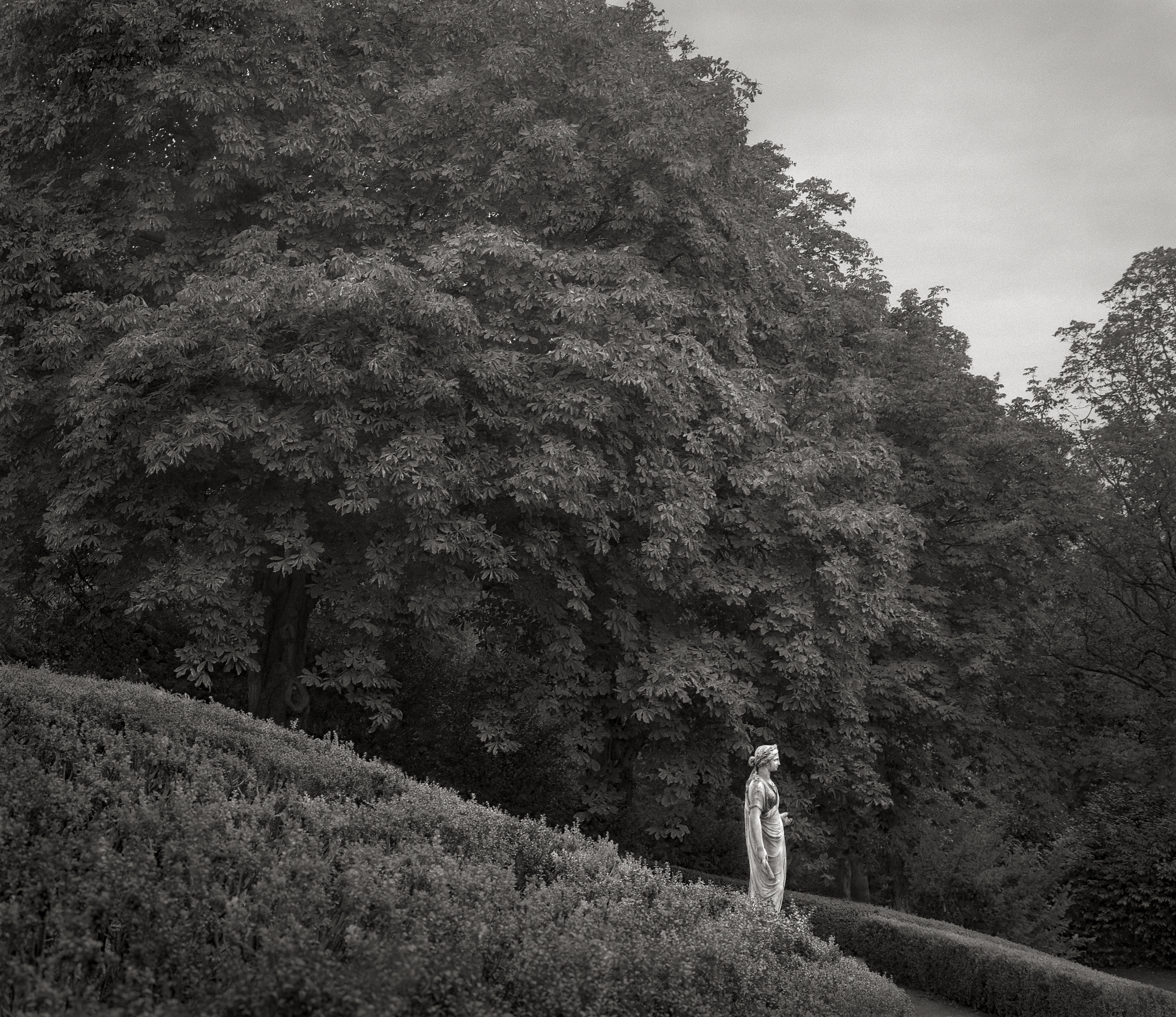 Hillside, Waddeson Manor Beth Dow 7.5 x 9, Edition of 5, signed and numbered Archival inkjet print from platinum original