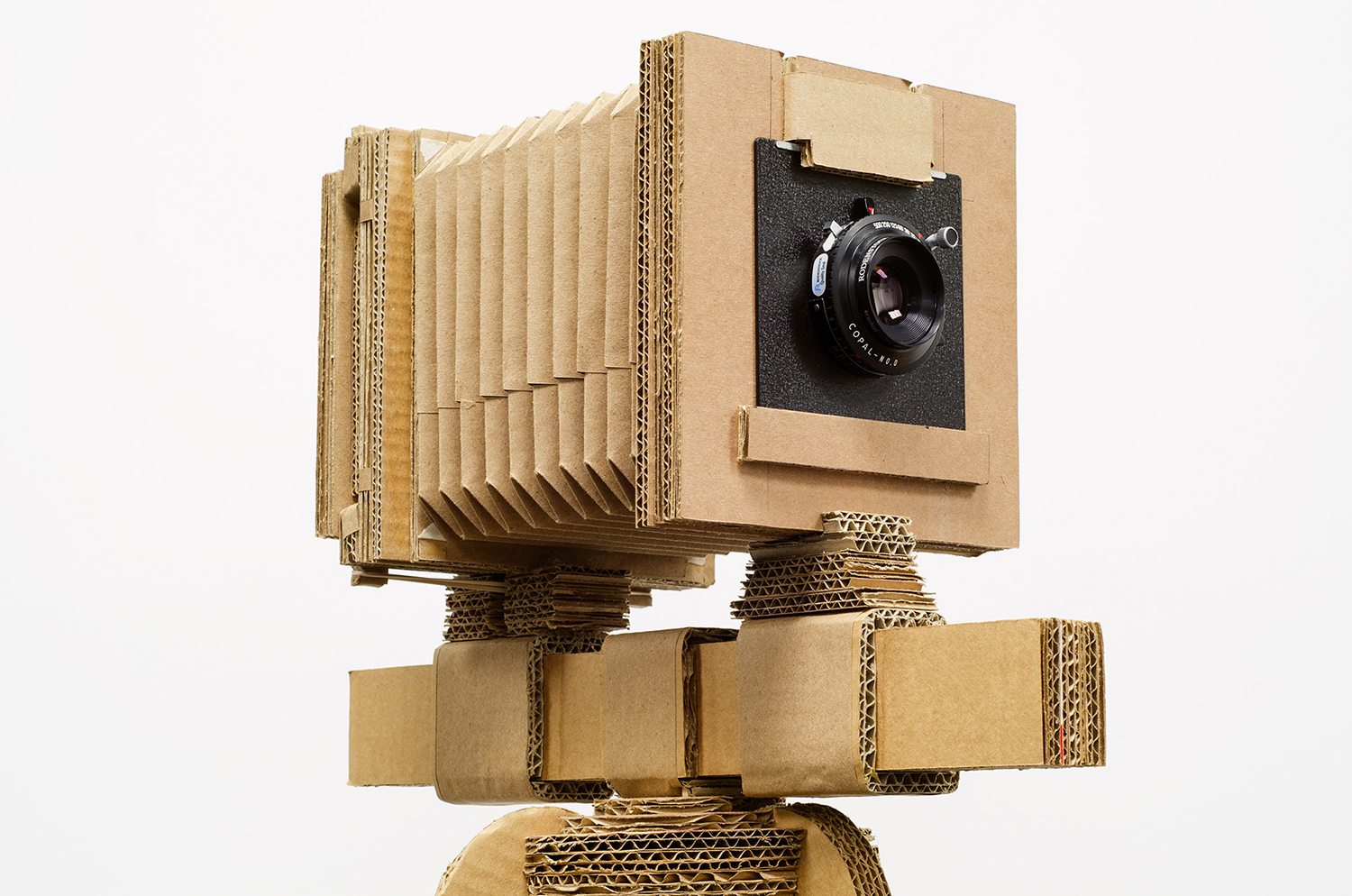 Cardboard camera.