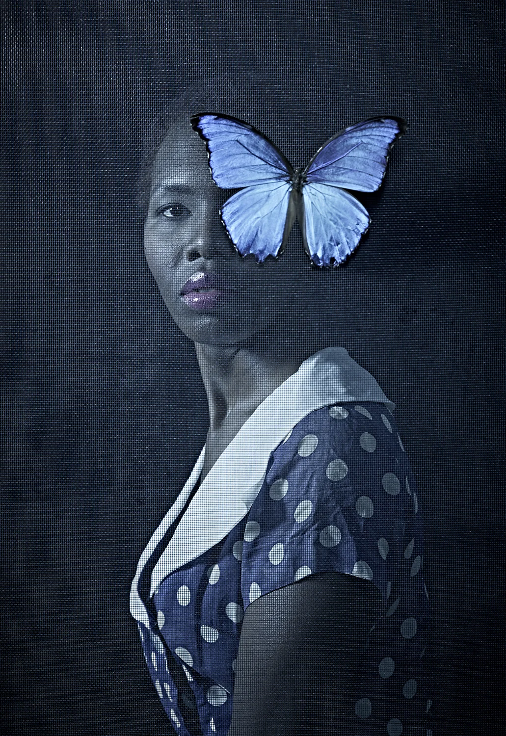 Butterfly Maxine Helfman 6 x 9, Edition of 5, signed and numbered Archival inkjet print