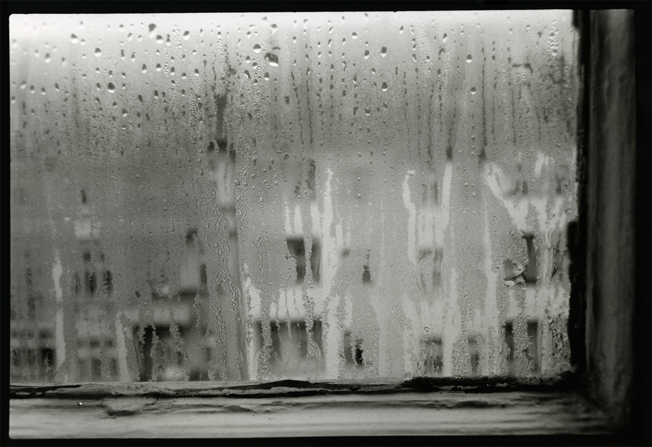 Regenfenster , Charlotte Thömmes