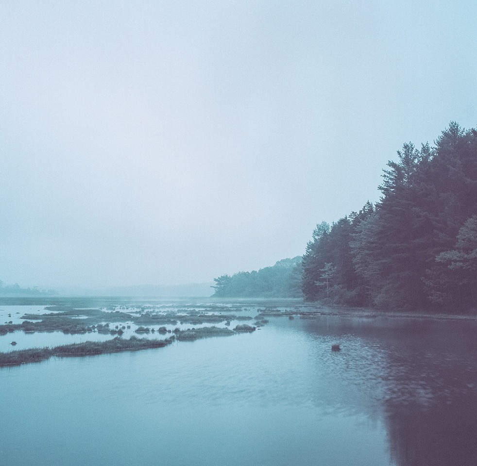Fog Marsh , Mark Yaggie