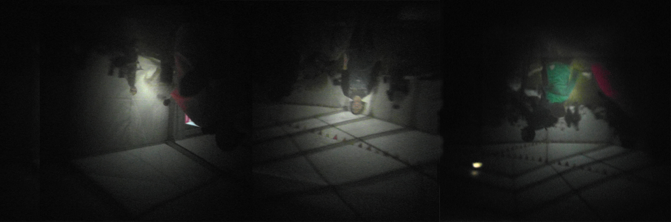 Internal view from the tri-clops.