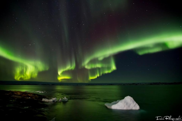 Northern Lights Over Icebergs in Greenland