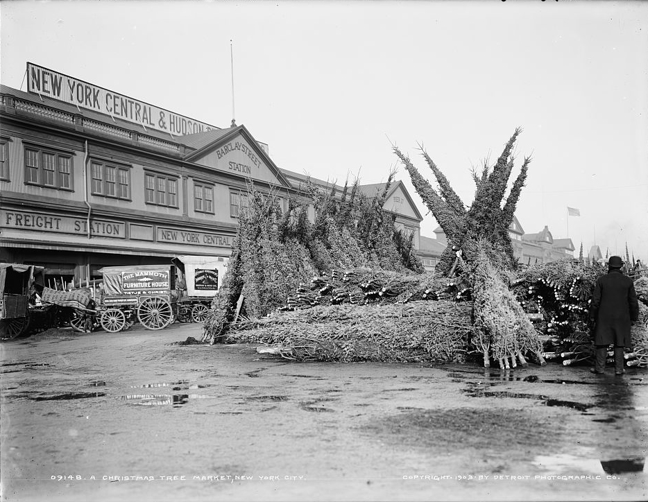 Christmas Tree Market, New York City, c. 1903