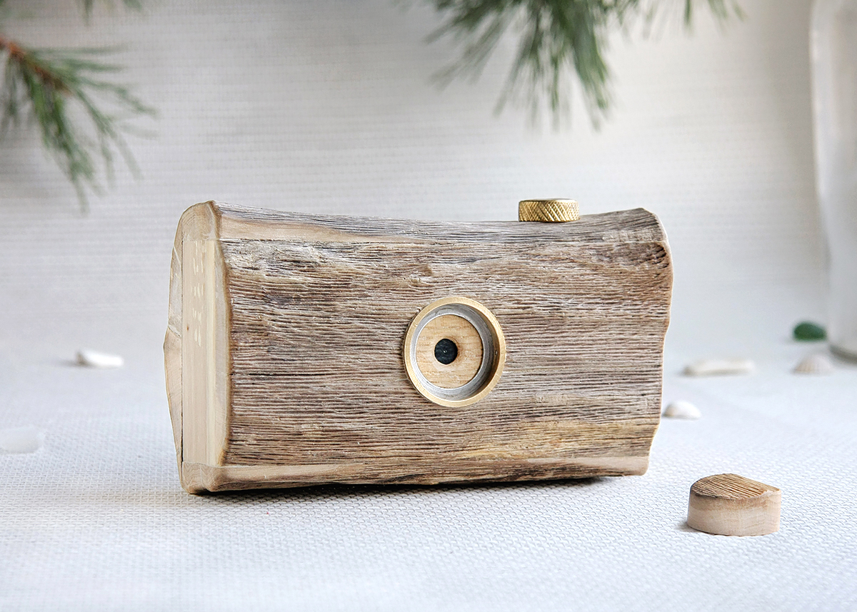 Pinhole camera made from driftwood