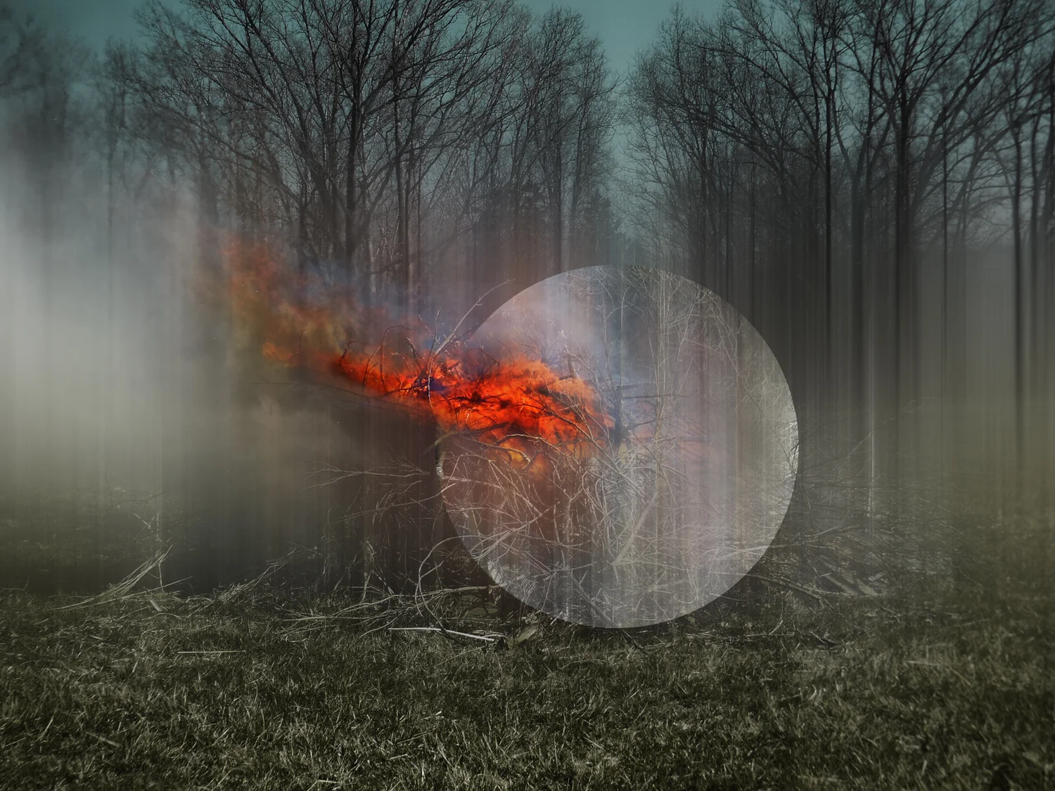 To Have and Have Not by Julia Margaret Cameron Award winner Ellen Jantzen