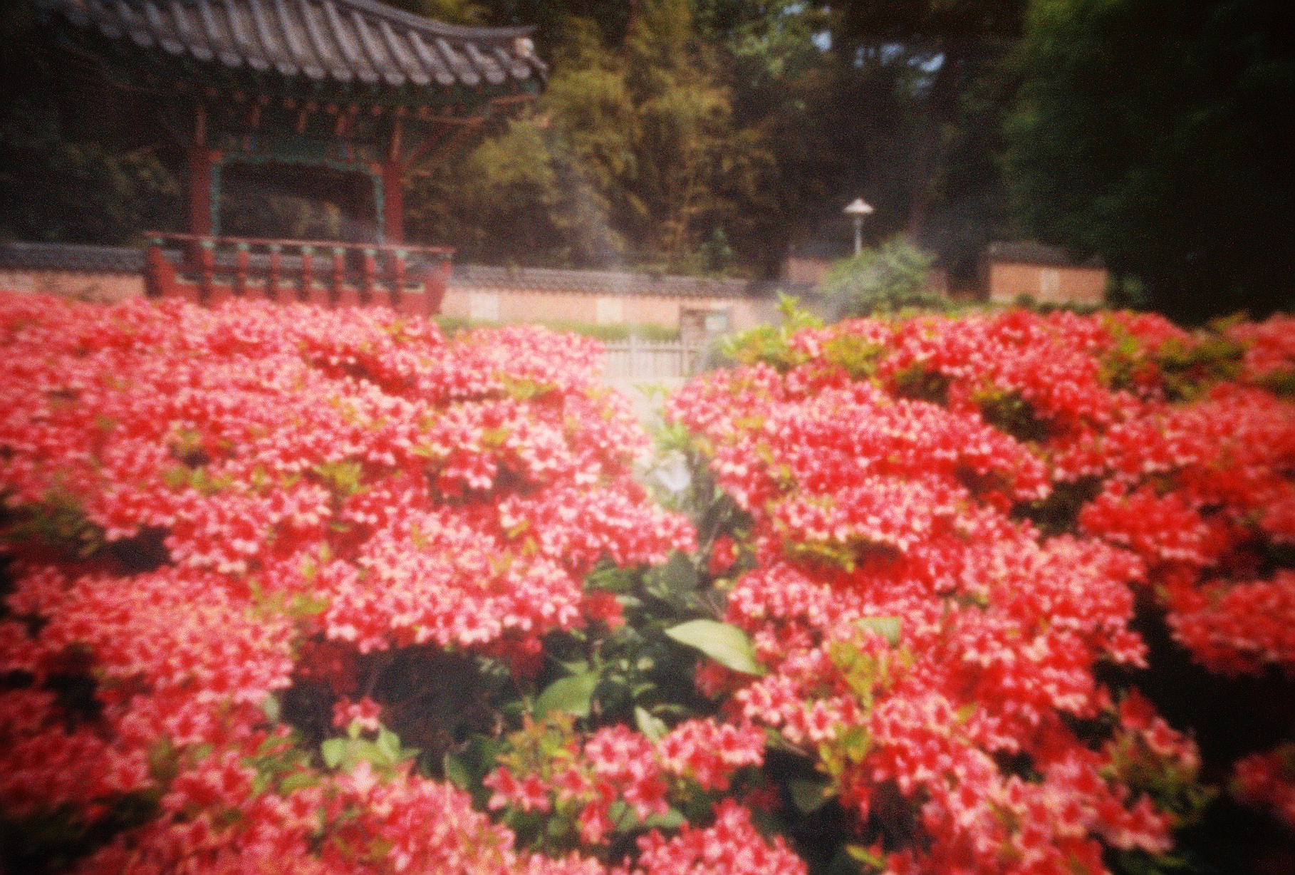 Photo made from Heartbeat camera.