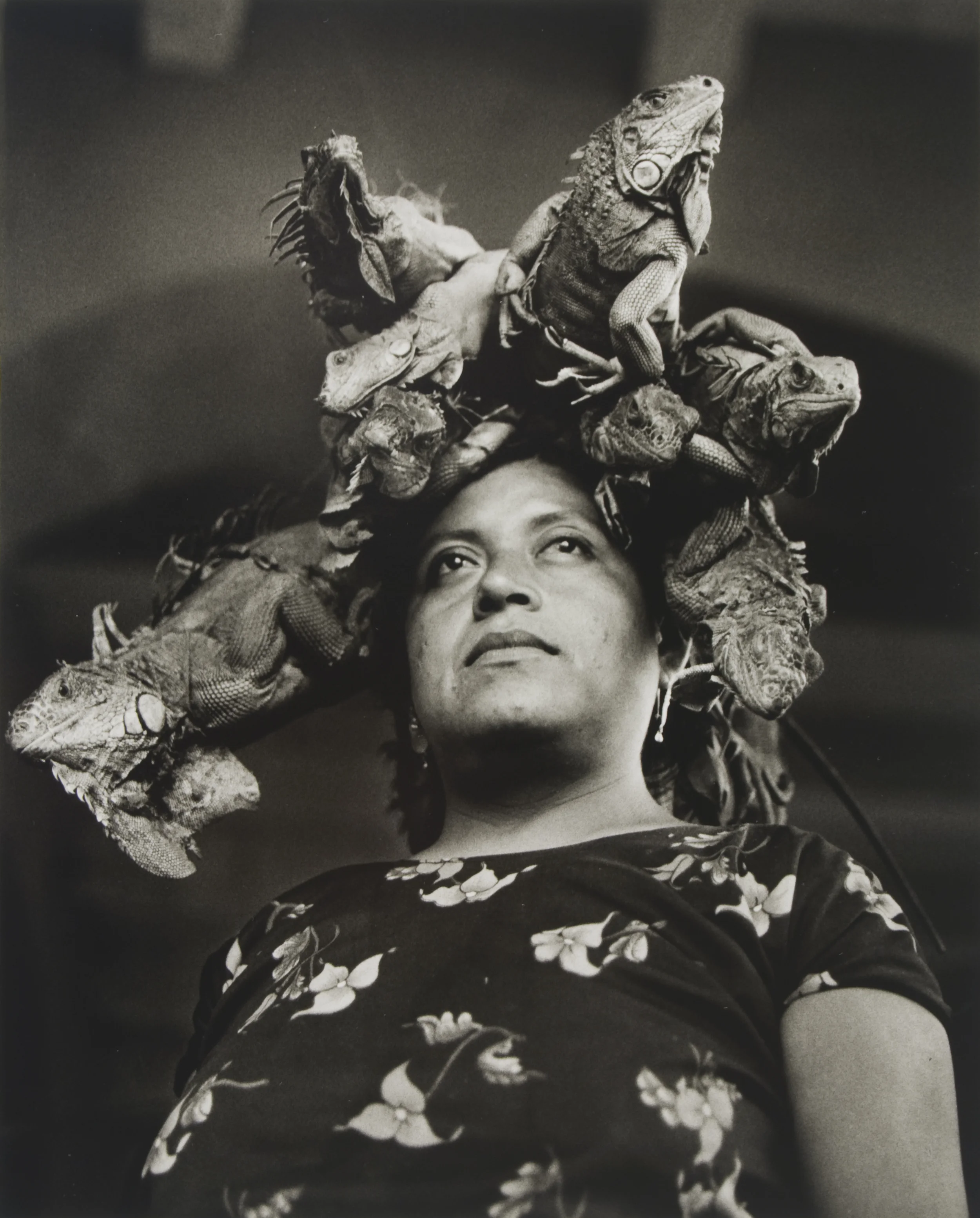 Graciela Iturbide (Mexican, b. 1942), Notre-Dame des Iguanes, Juchitàn, Oaxaca, 1979; 2007:337 Graciela Iturbide is famous for her pictures of Mexico, particularly its indigenous population, though later projects have taken her to India and the American South in her exploration of modern culture. In particular she is known for her master work Juchitán of Women , a decade long project begun in 1979 when artist Francisco Toledo invited a group including Iturbide to visit Juchitán, a small town in southern Mexico's Tehuantepec Isthmus. This Zapotec Indian town had a distinct culture and way of life, notable for the dominance of women in commercial and political spheres.
