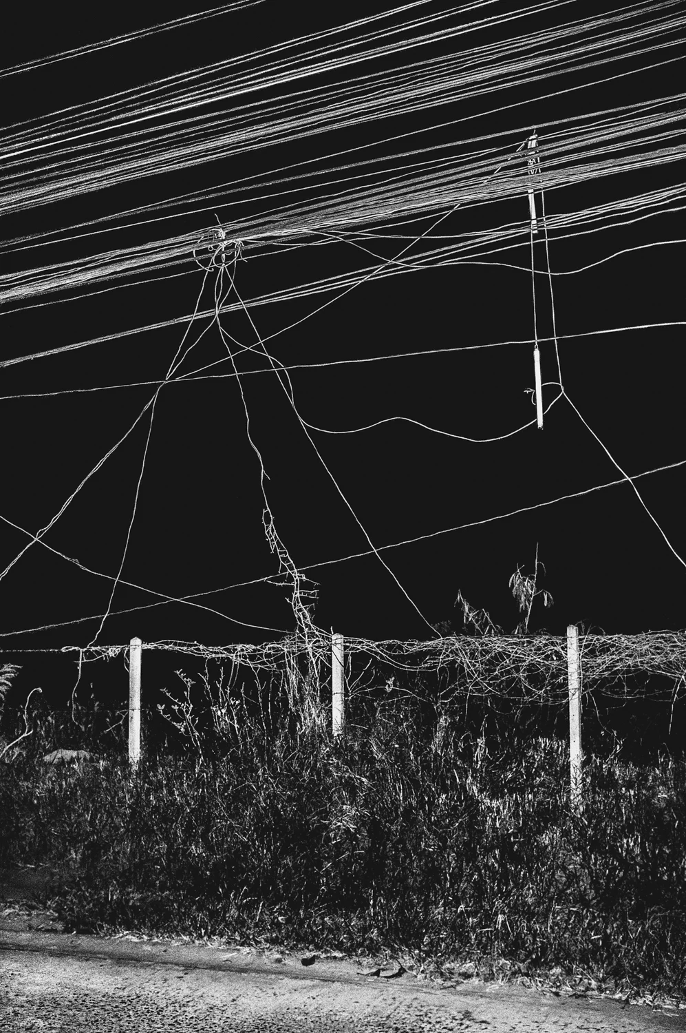 Untitled from the series Farang