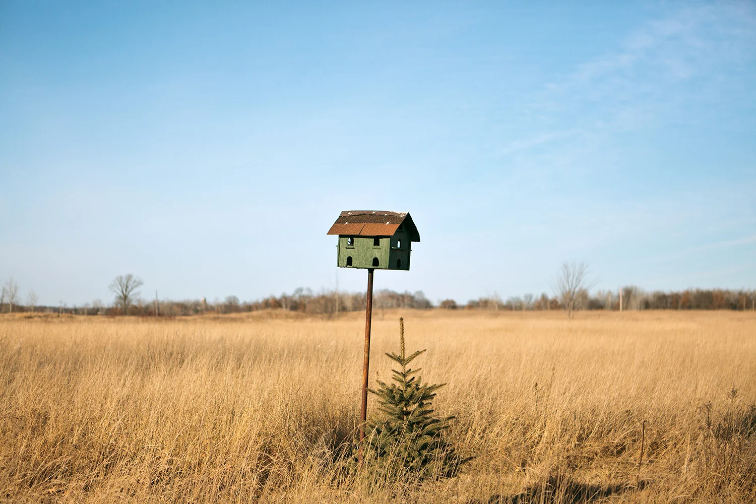Birdhouse, 2011 from the series Northwoods Journals , Kurt Simonson