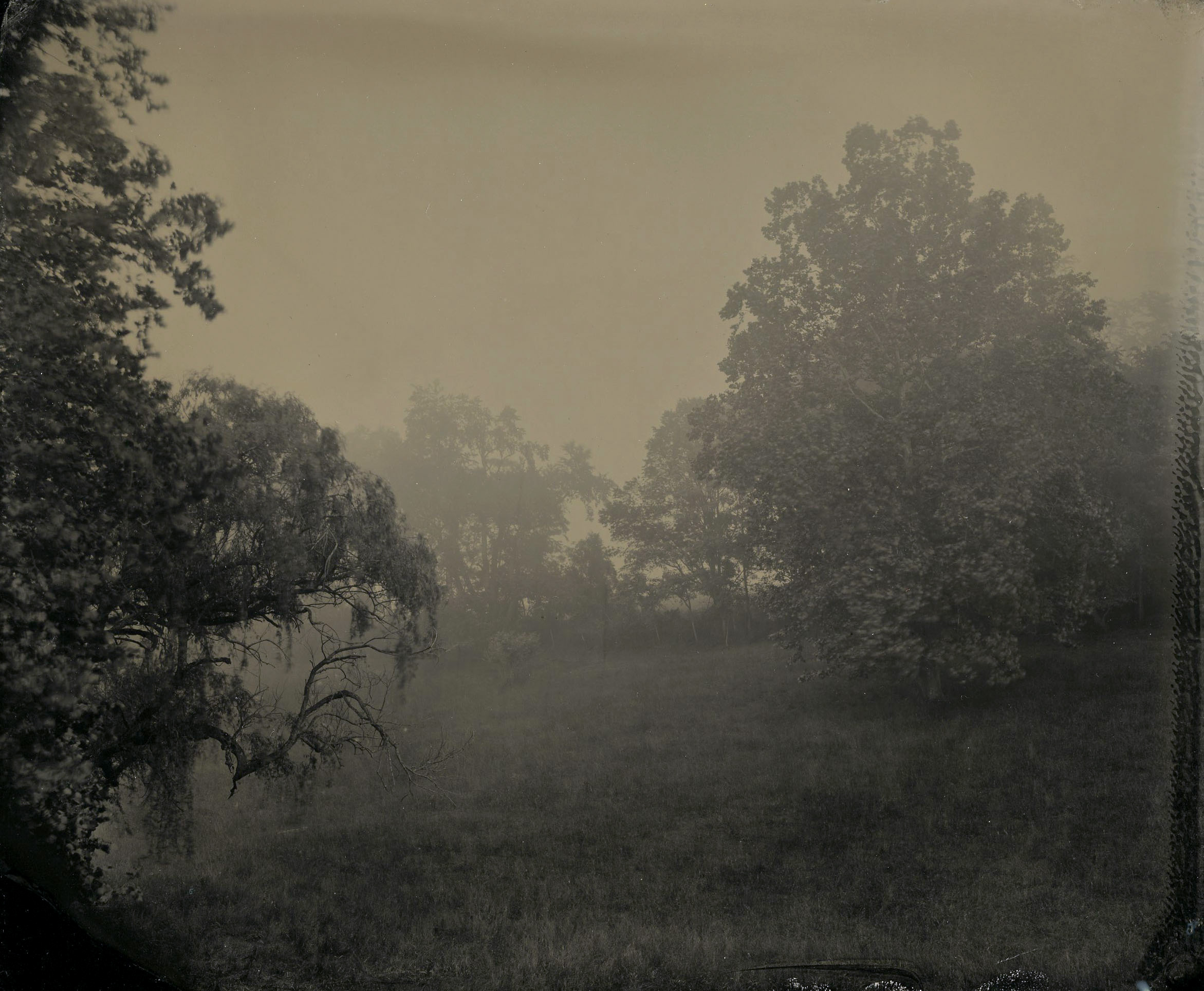 Receding Fog, Jump Mountain Road , Robert Alexander Williams