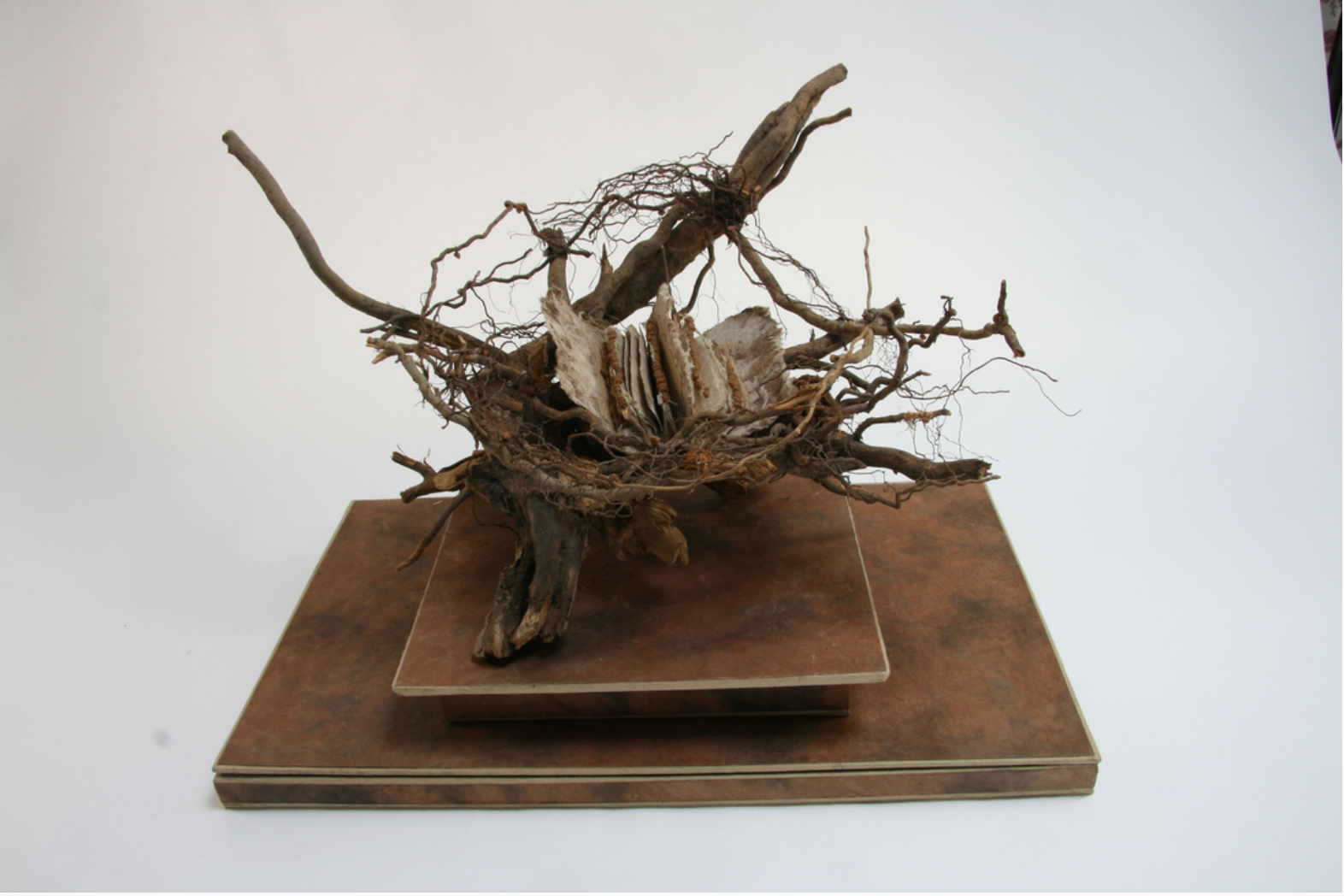 Spirit Book #43: Renewed Wisdom