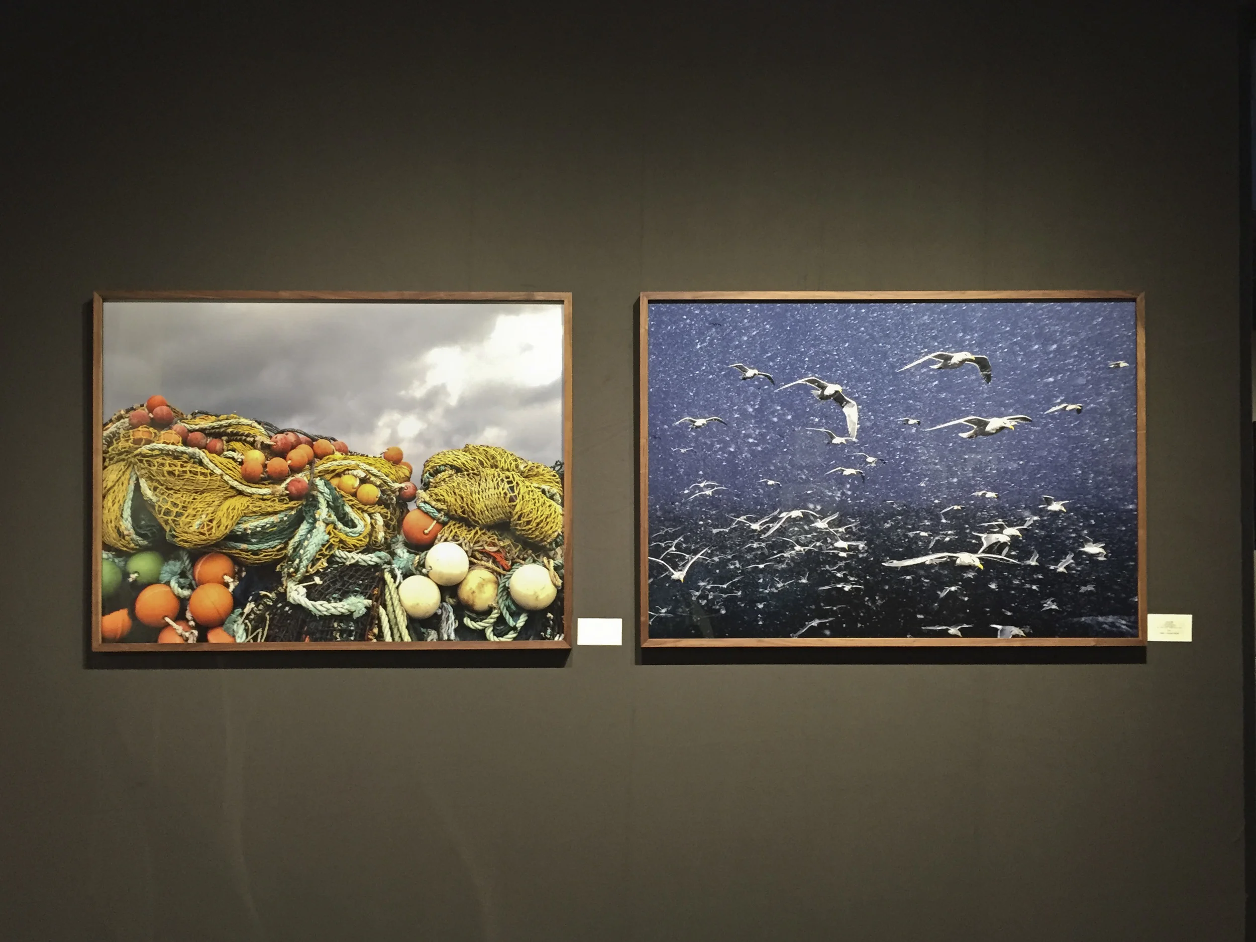 Corey Arnold at Charles A. Hartman Fine Art