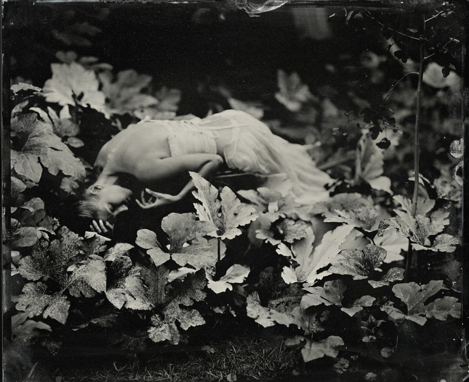 Shelby in Gourd Plant, 2011 Archival pigment print from tintype original 6 x 9, signed and numbered edition of 5 $95