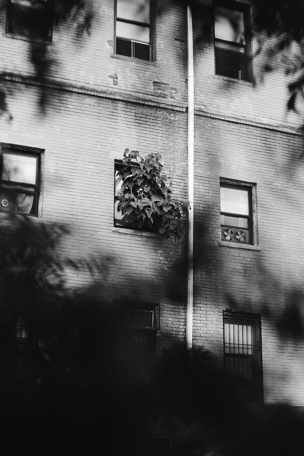 This is a book about all of the life in a city , Ricardo Lozano