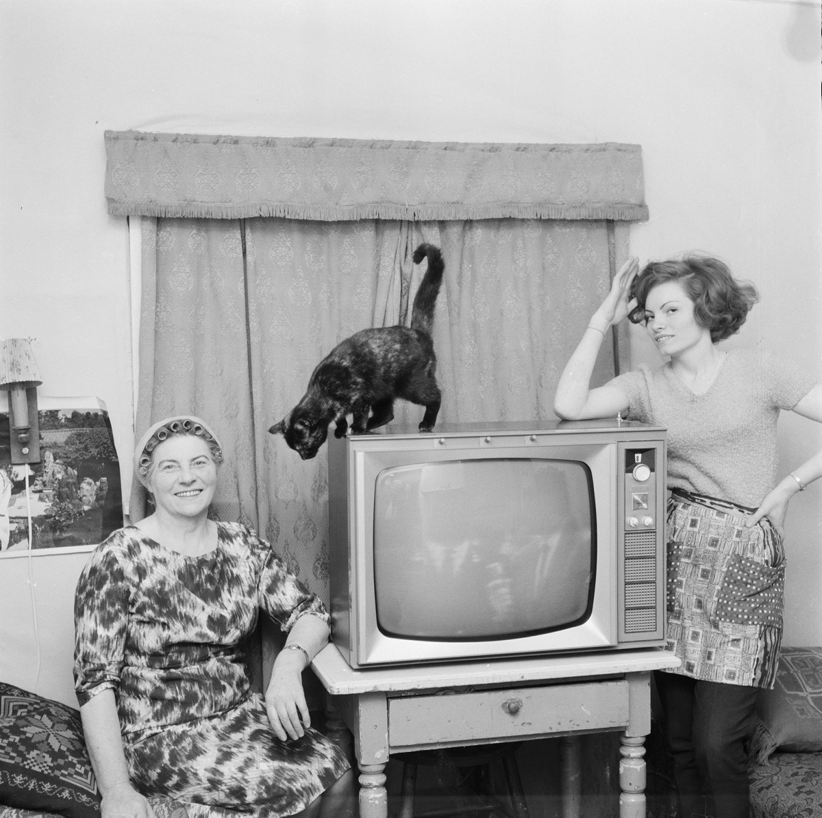 Sveinn Þormóðsson (1926-2002) Women, cat, TV, 1964.