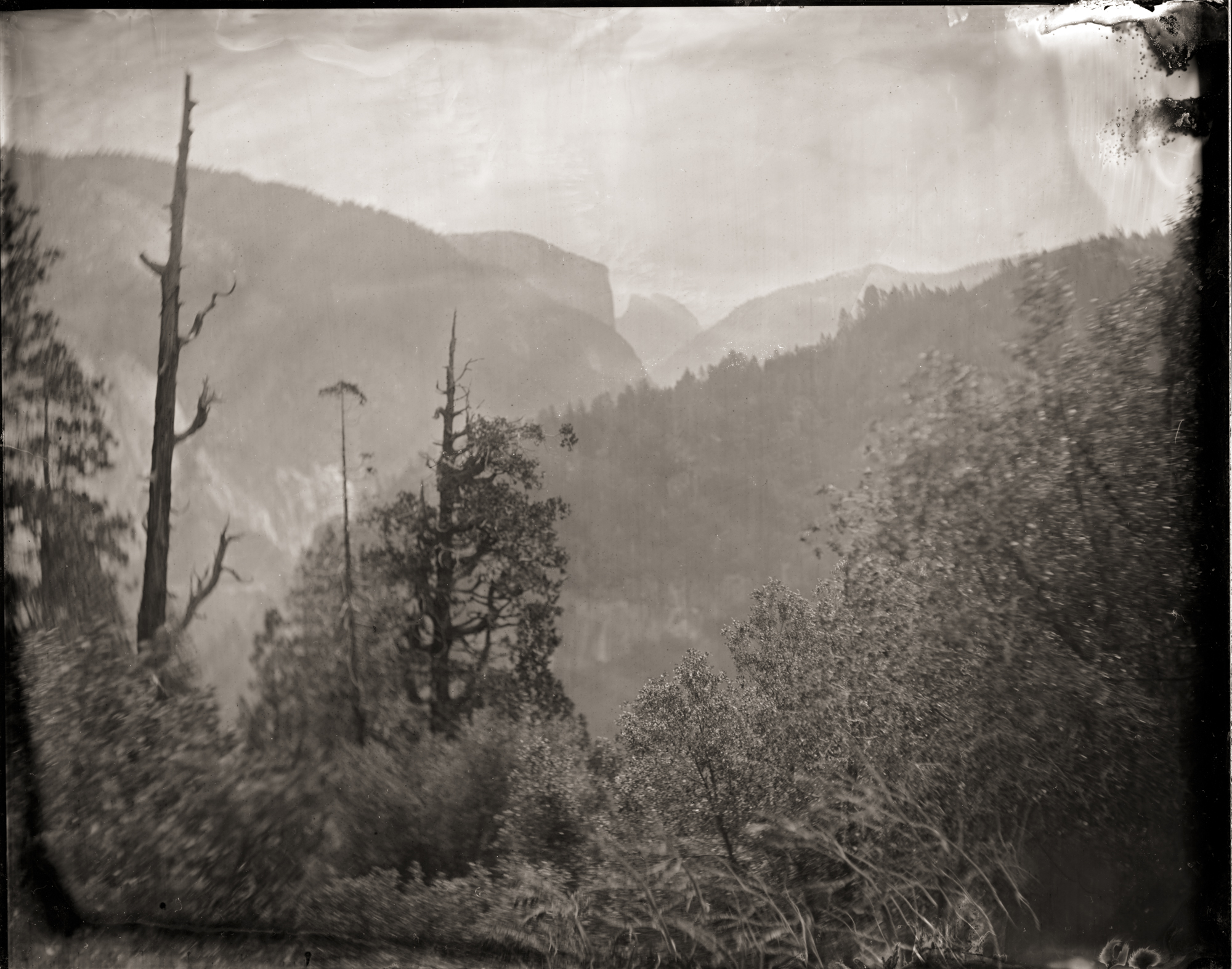 Half Dome View , Chris Honeysett