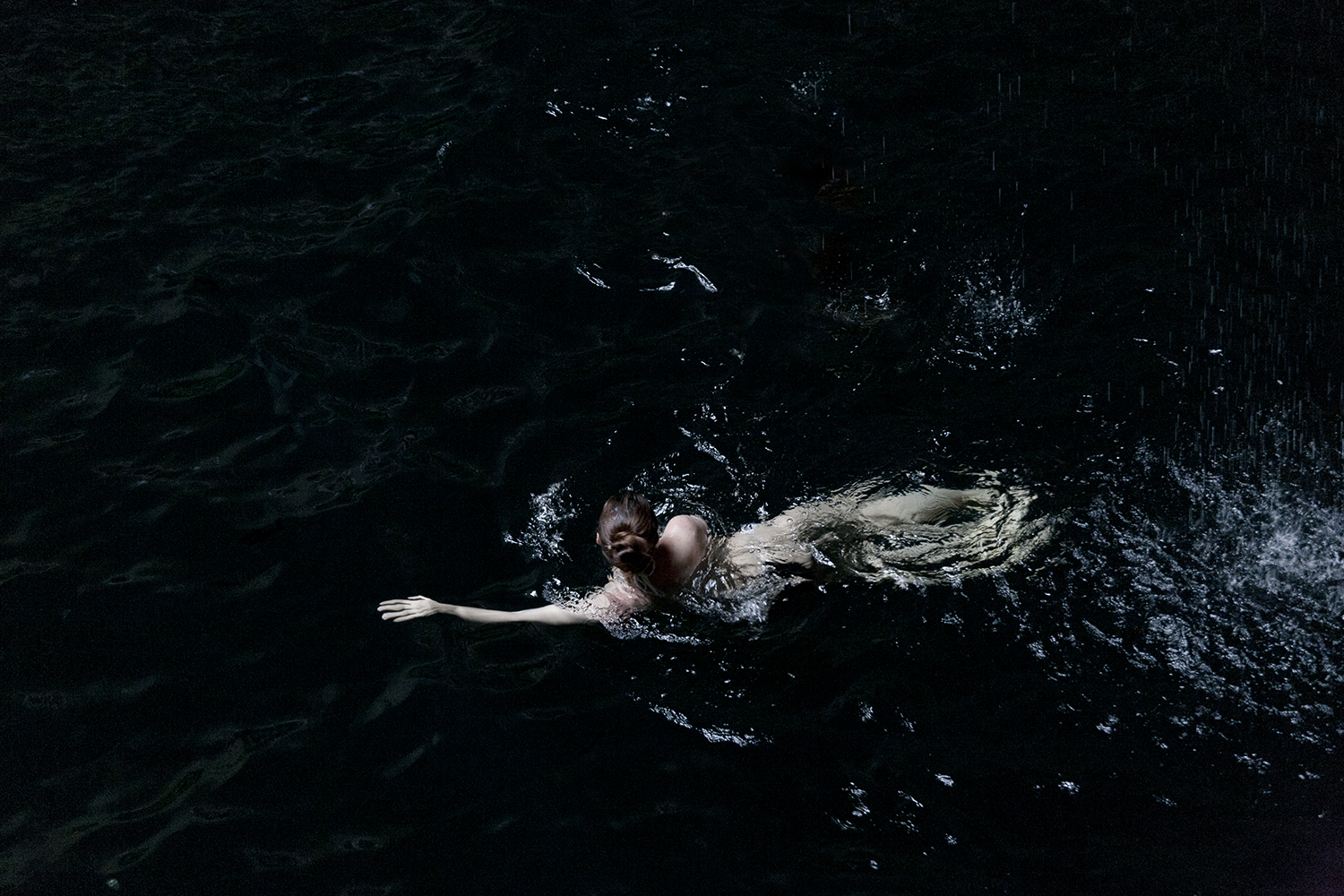 Francine Fleischer Swim #8229 Archival pigment print 6 x 9 signed and numbered edition of 5 $175