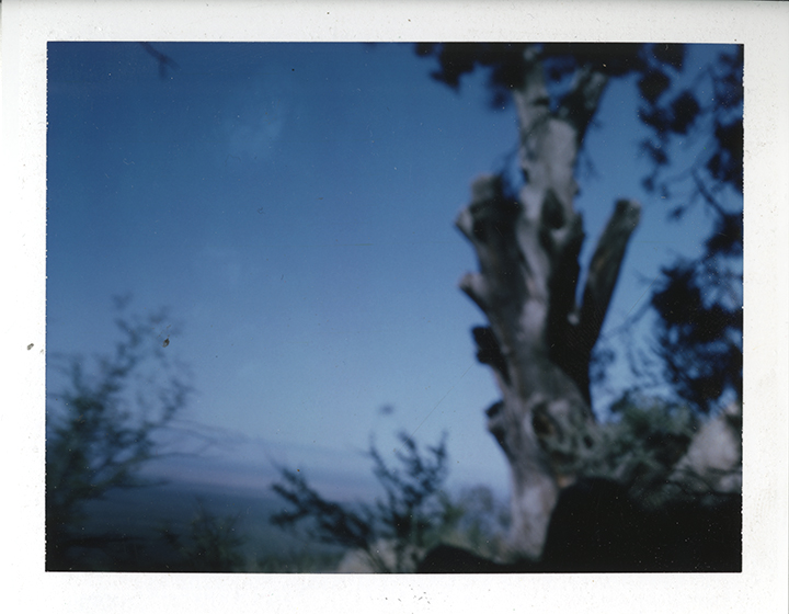 4x5 Color Film (Ektar 100) Photo: Adam Donnelly and David Janesko