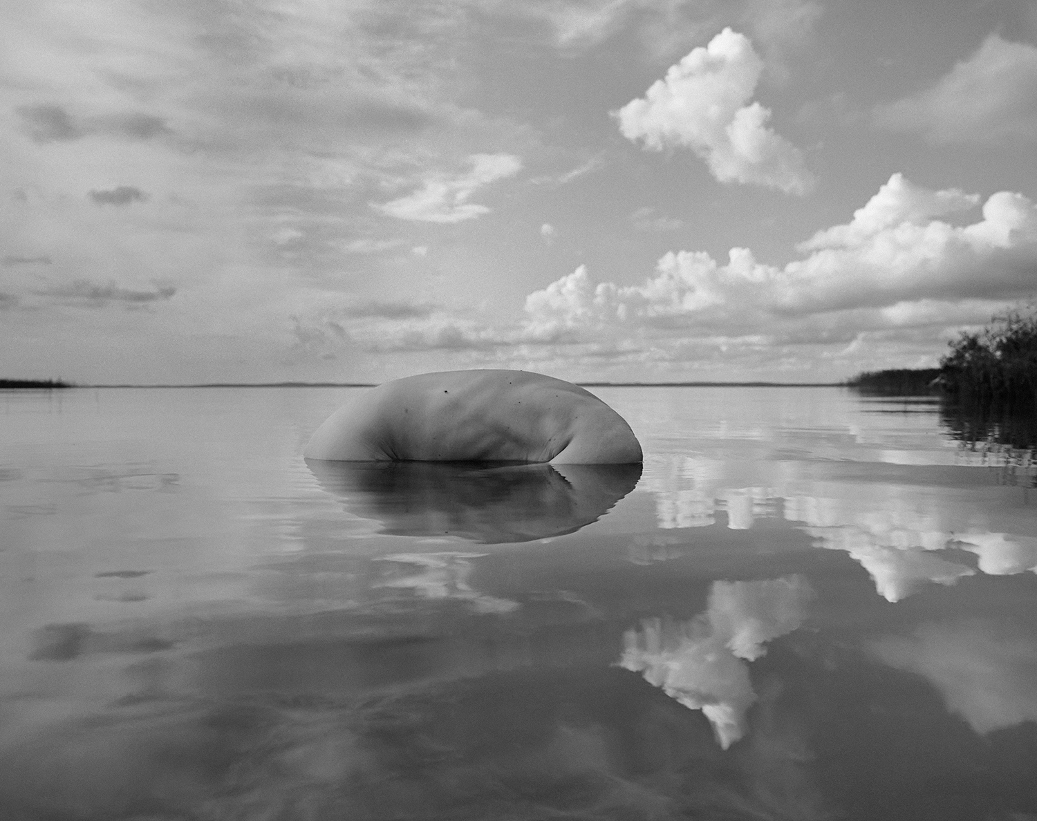 Oulujärvi Afternoon, Paltaniemi, Finland, 2009, ©Arno Rafael Minkkinen/Courtesy Edwynn Houk Gallery, New York