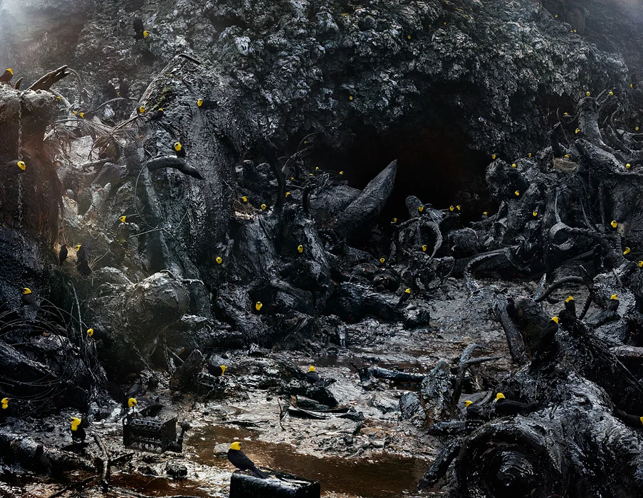 Simen Johan, From the series Until the Kingdom Comes, Untitled #171, 2012, Digital C-Print, © Simen Johan, Courtesy Yossi Milo Gallery, New York