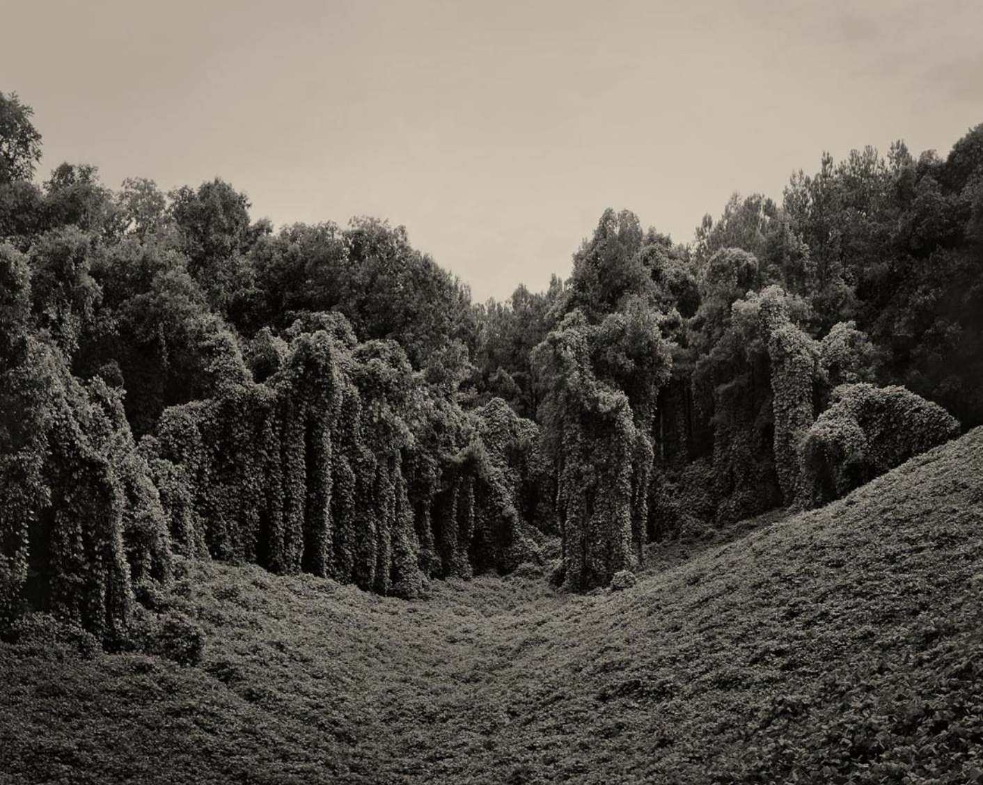 Kudzu Project: Alabama Fields