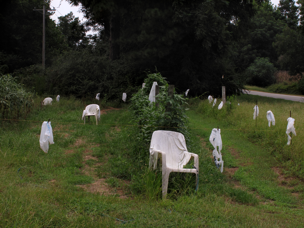 Southern Stories