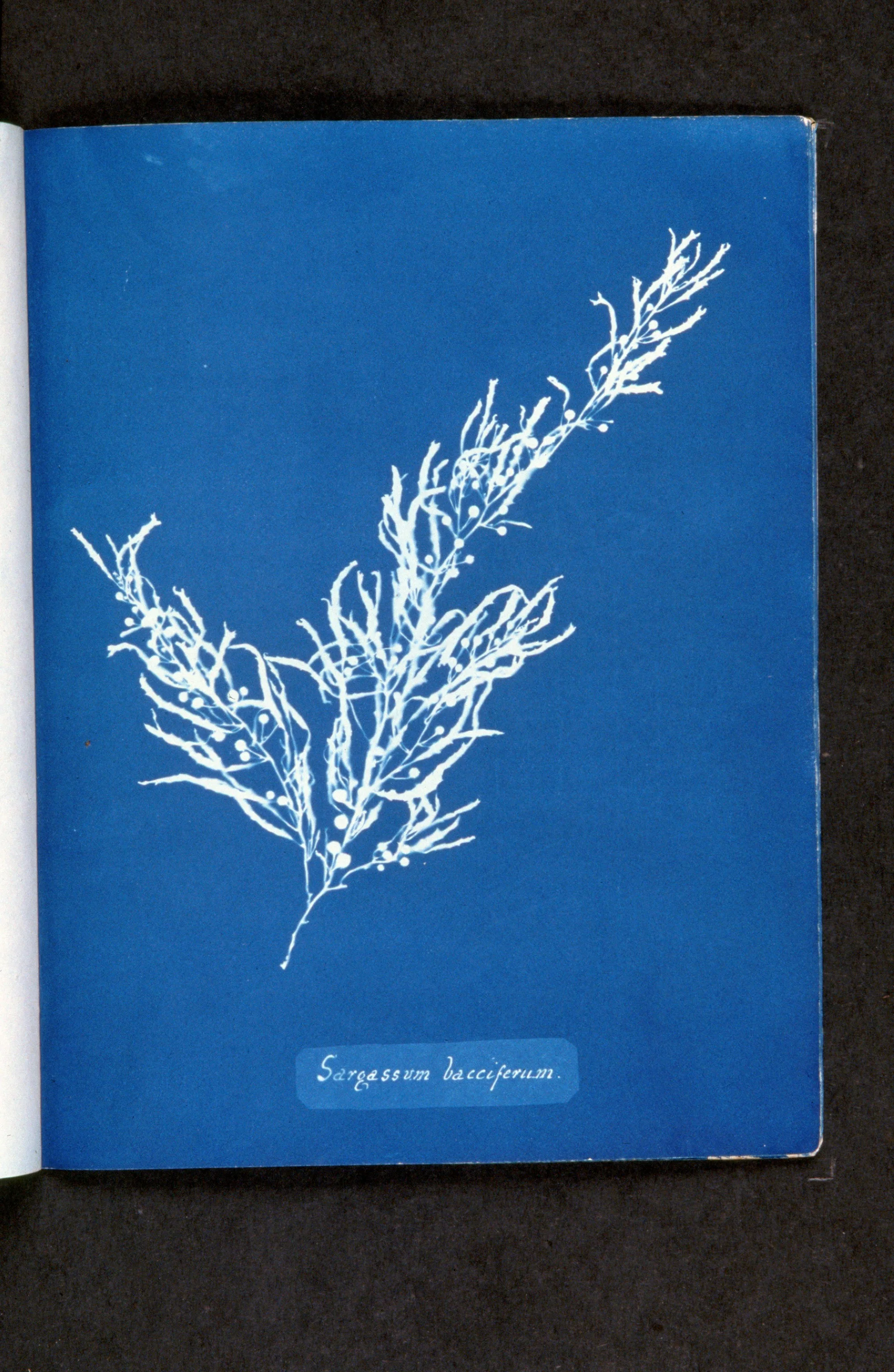 Interior page
