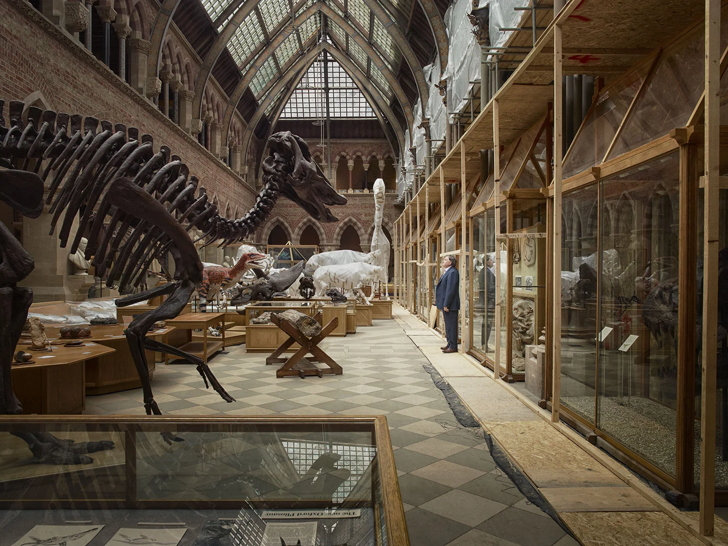 Joanna Vestey Professor Paul Smith, Director, Oxford University Museum of Natural History Archival pigment print 6 x 9, signed and numbered edition of 5 $150