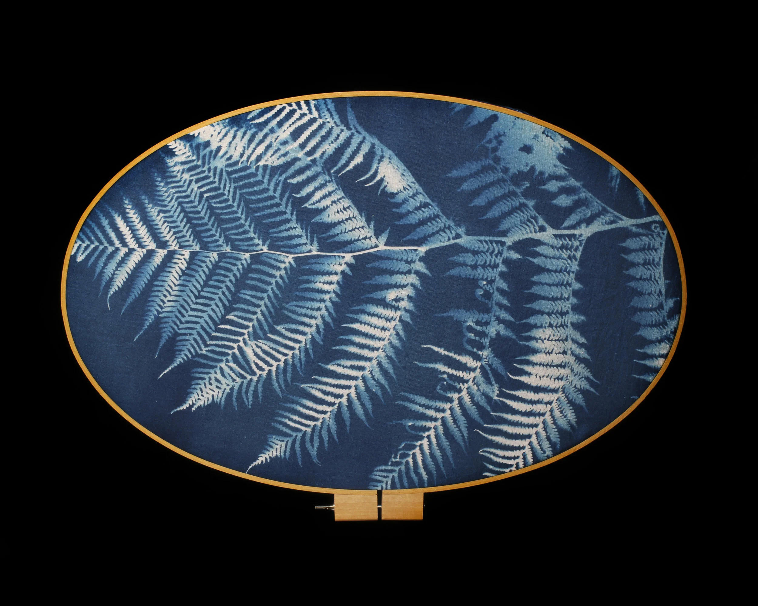Heidi Kirkpatrick, Tree Fern, 2015. Cyanotype.