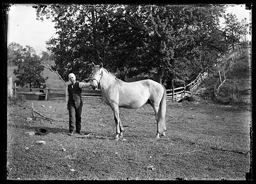 Theodore Clemens Wohlbrück, Unidentified Man with Horse, Worcester County. Glass negative. Ca. 1910. Gift of Russell Bath, 2014.