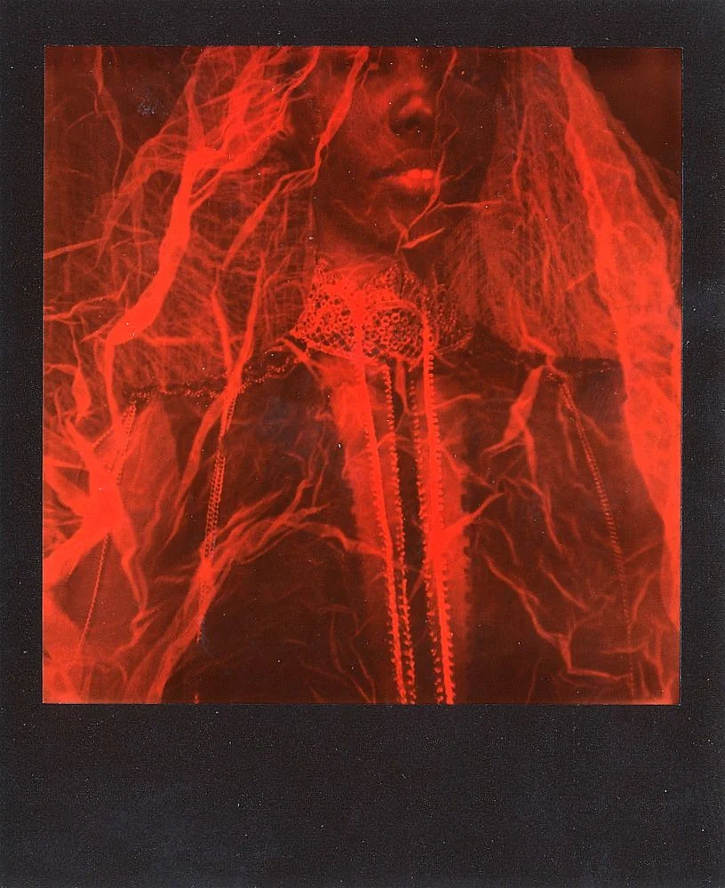 Leeonista , Cromwell Schubarth, San Francisco, CA (Impossible I-1 camera) Honorable Mention
