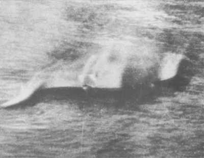 Hugh Gray's photograph in 1933