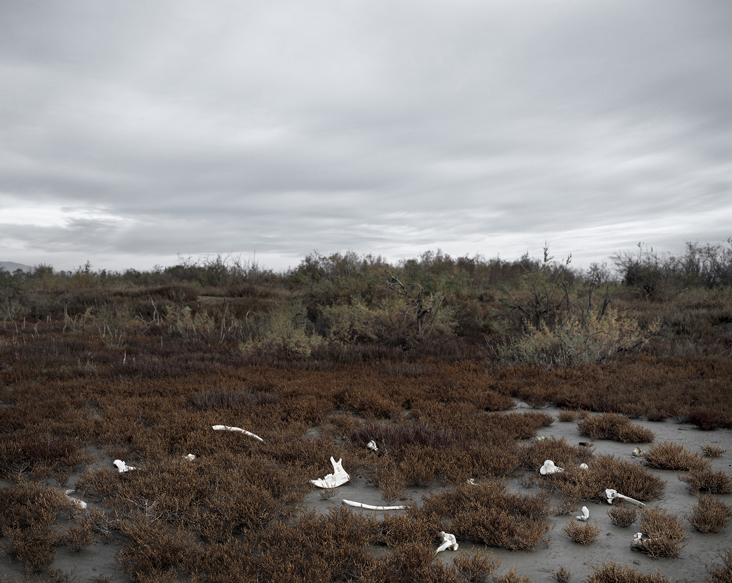 Untitled from the series Reconstruction , Kosmas Pavlidis