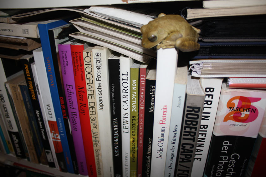 A curious amphibian visits Fabricio Schmidt's Brazilian bookcase.