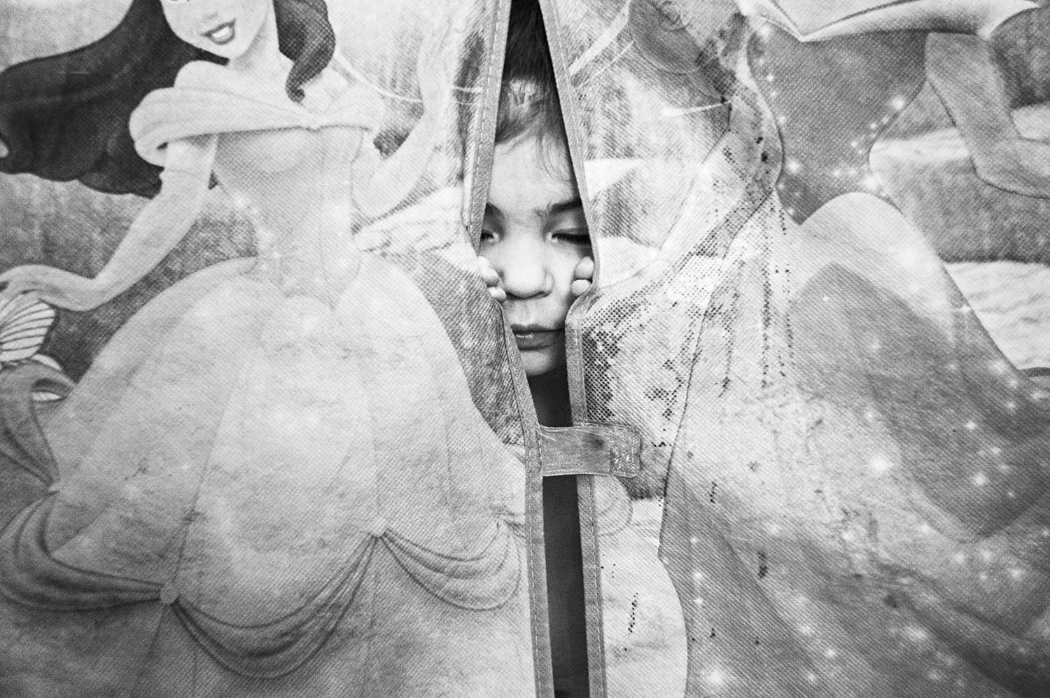 Surrounded by Pincesses, 2016 , Danielle René Khoury
