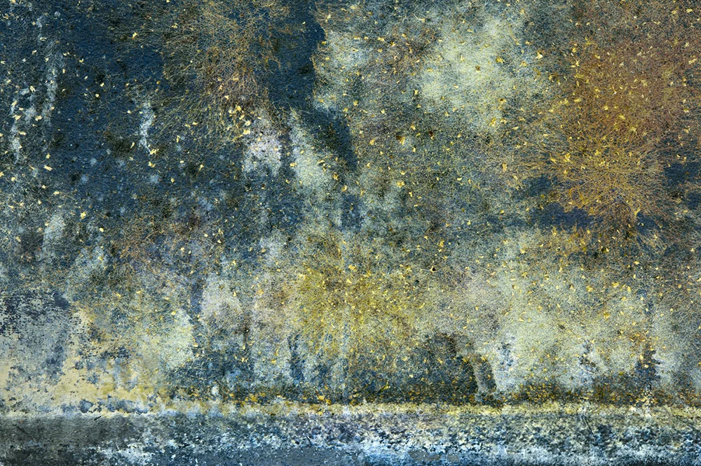 Waterline-11.jpg