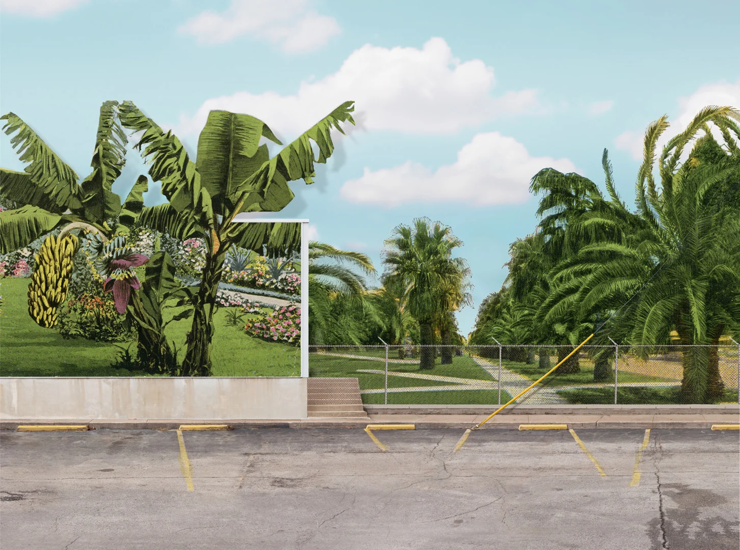 The Palm Tree