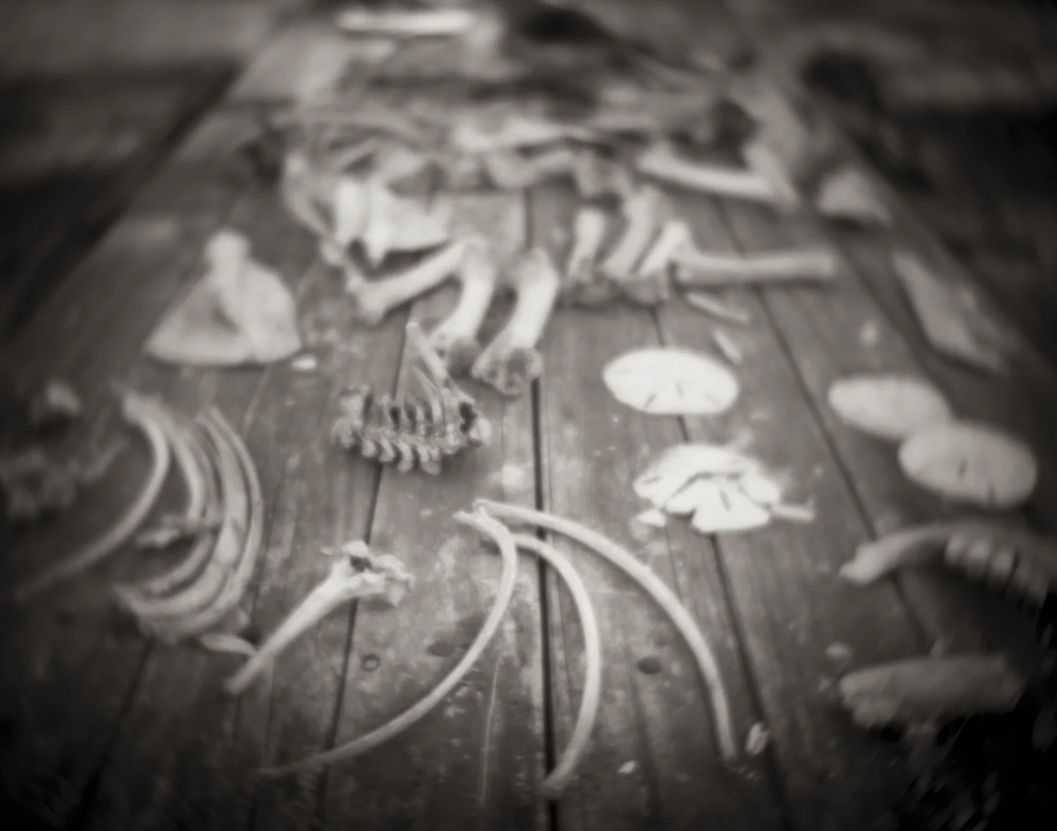 Table of Bones